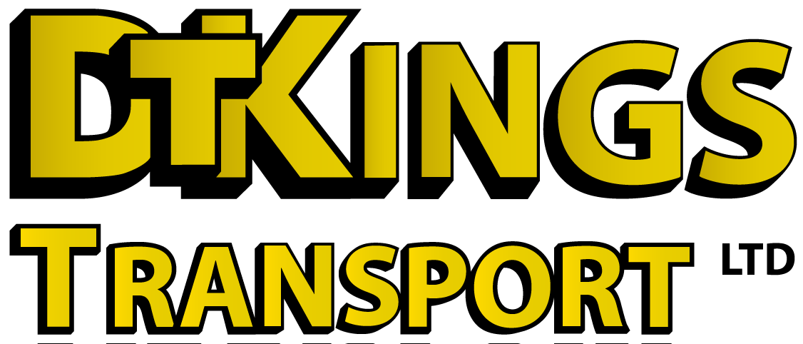 DT King Logo
